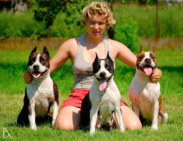 Amstaff